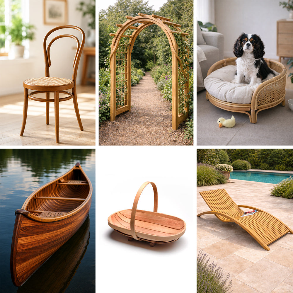 Steam bending project inspiration showcasing various wooden home and outdoor project ideas.